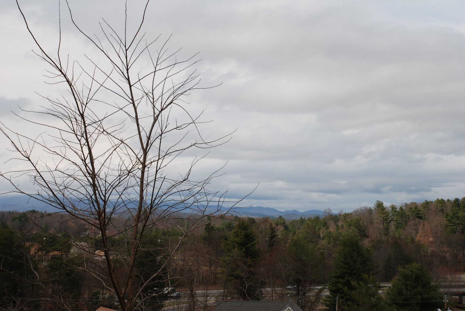 [DSC_0080.JPG]